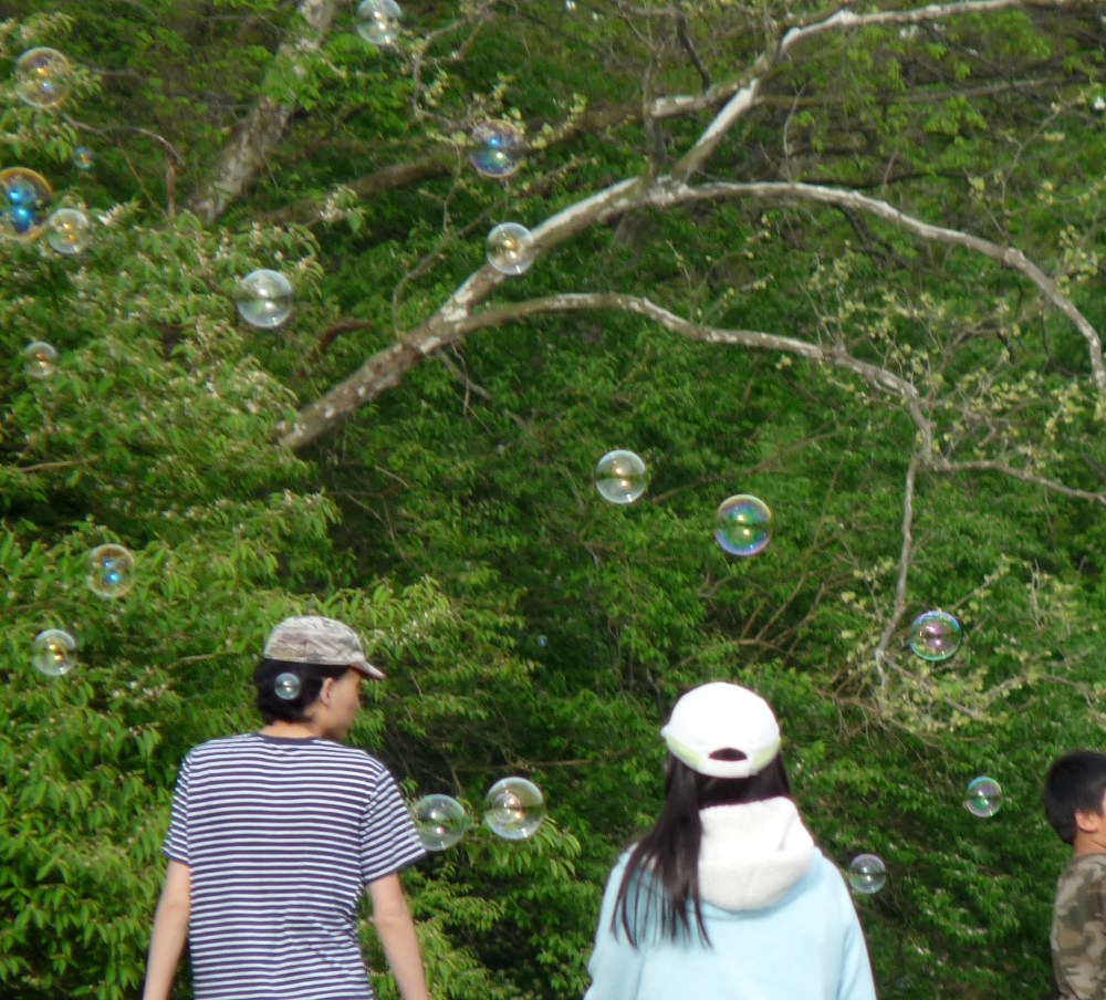 bubbles2